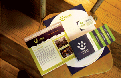 Opera for the Young strategy tagline logo branding collateral